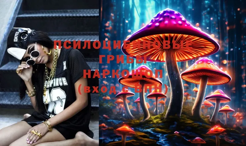 цена   Крым  Галлюциногенные грибы Cubensis 